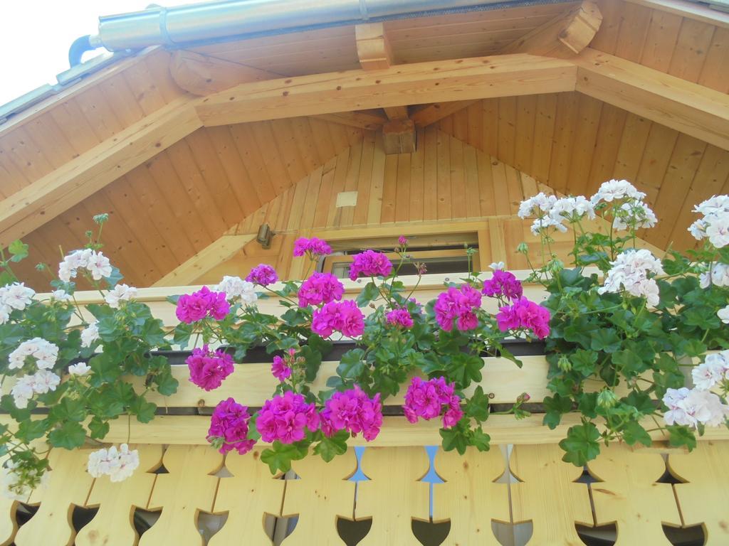 Farmhouse Pri Miklavu Bohinj Exterior foto